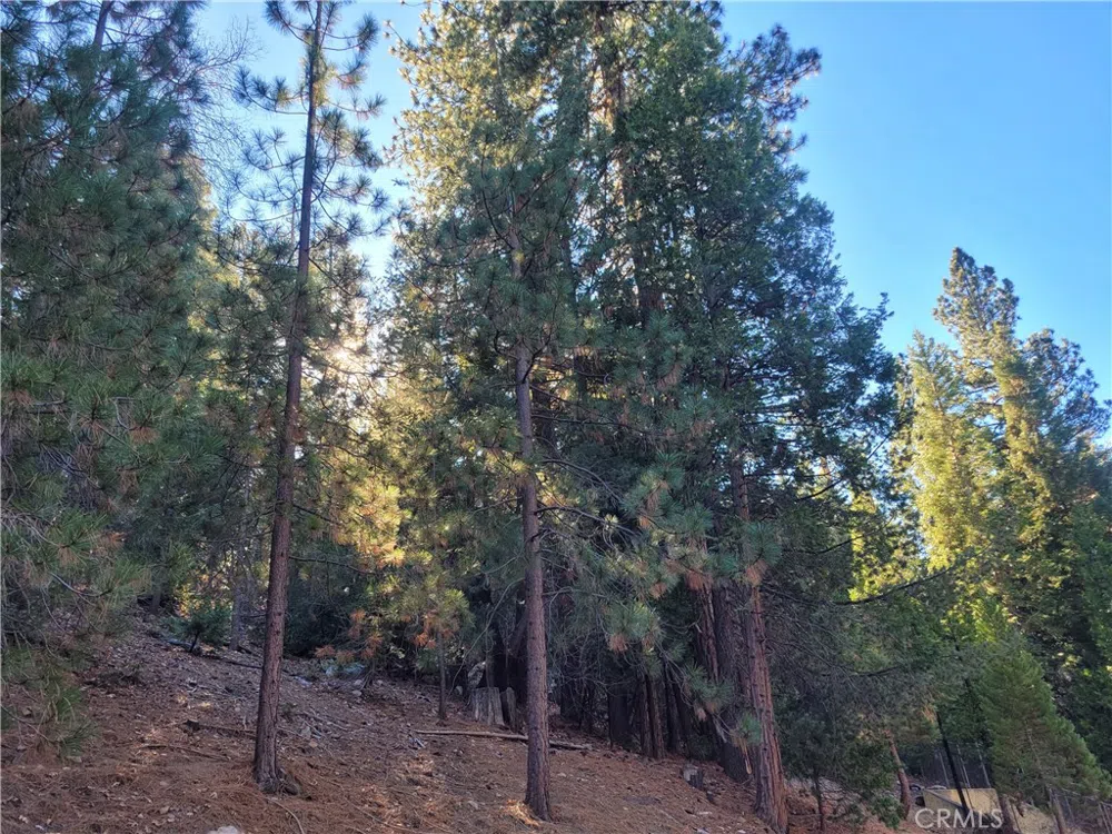 Brentwood Drive Lake Arrowhead, CA 92352