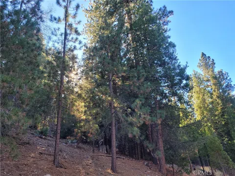 Brentwood Drive