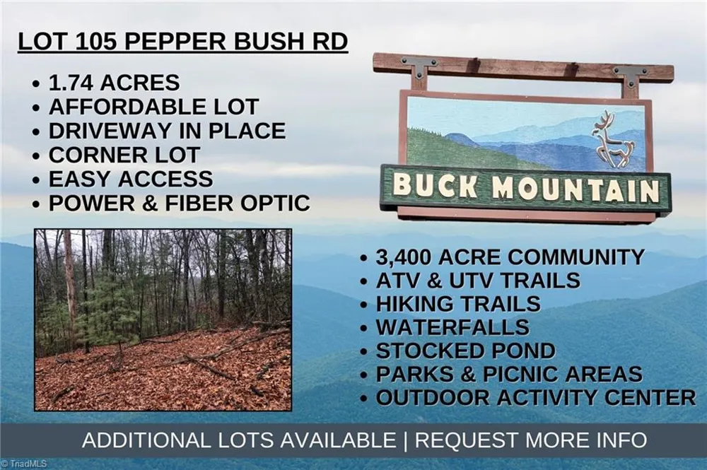 Lot 105 Pepper Bush Road Purlear, NC 28665