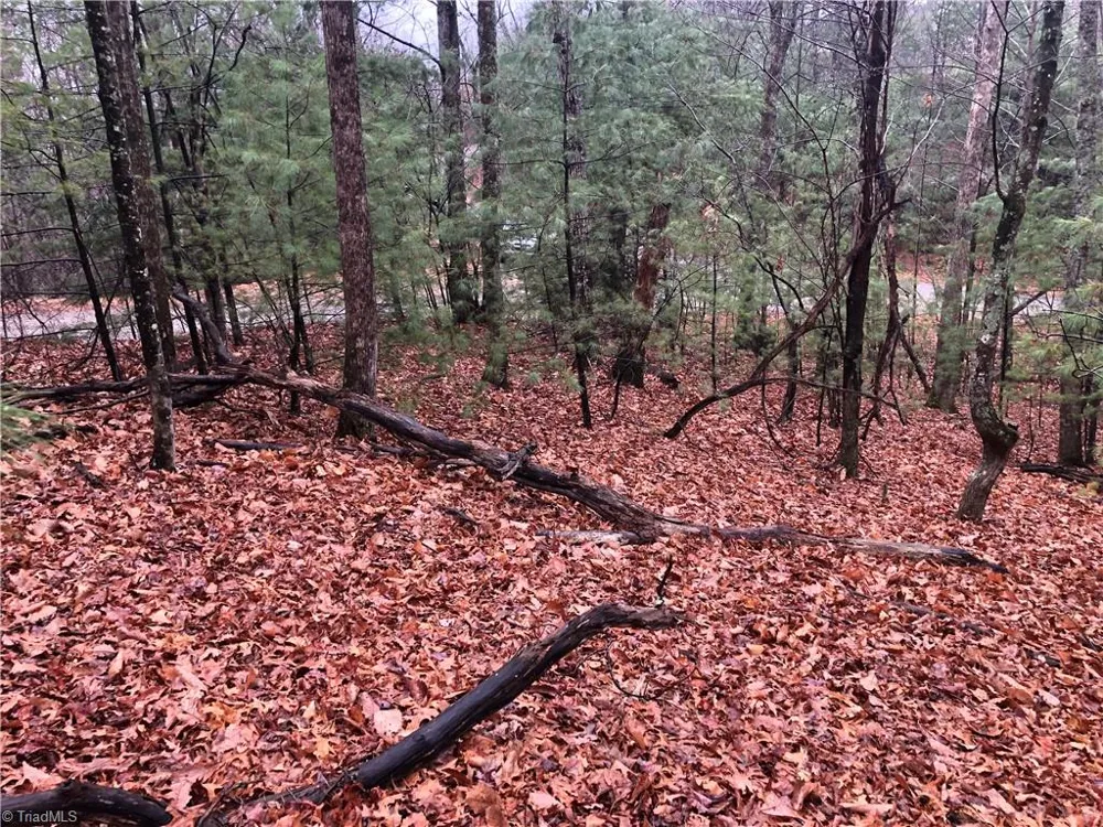 Lot 105 Pepper Bush Road Purlear, NC 28665