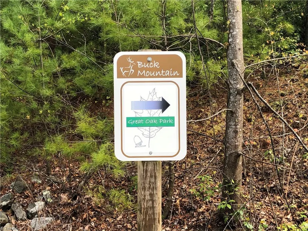 Lot 105 Pepper Bush Road Purlear, NC 28665