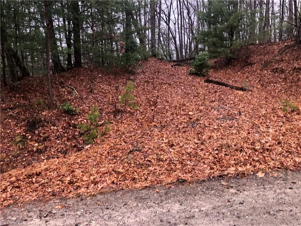 Lot 105 Pepper Bush Road Purlear, NC 28665