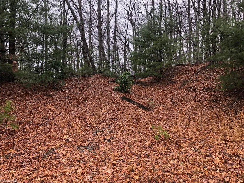 Lot 105 Pepper Bush Road Purlear, NC 28665