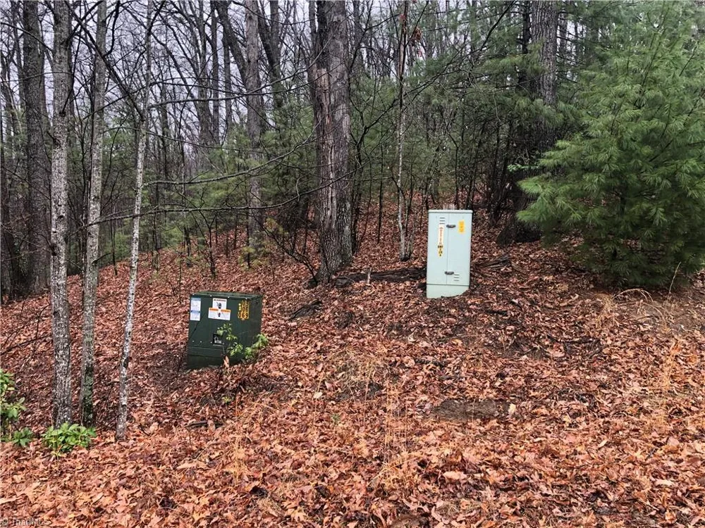 Lot 105 Pepper Bush Road Purlear, NC 28665
