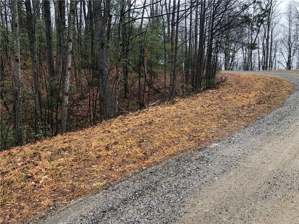 Lot 105 Pepper Bush Road Purlear, NC 28665
