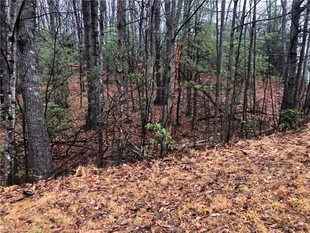 Lot 105 Pepper Bush Road Purlear, NC 28665