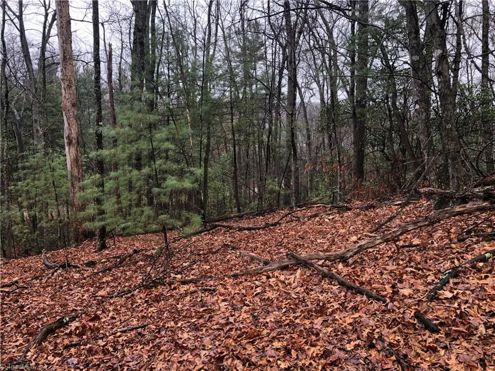 Lot 105 Pepper Bush Road Purlear, NC 28665