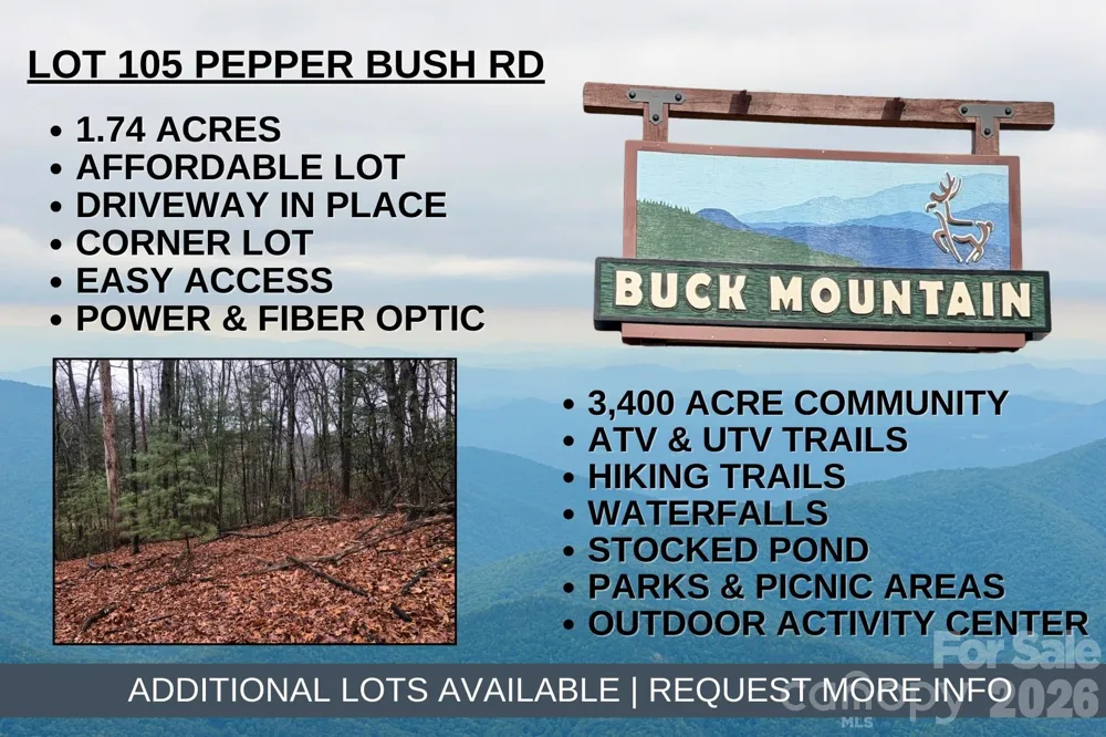 TBD Pepper Bush Road #105 Purlear, NC 28665