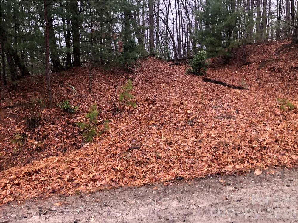TBD Pepper Bush Road #105 Purlear, NC 28665
