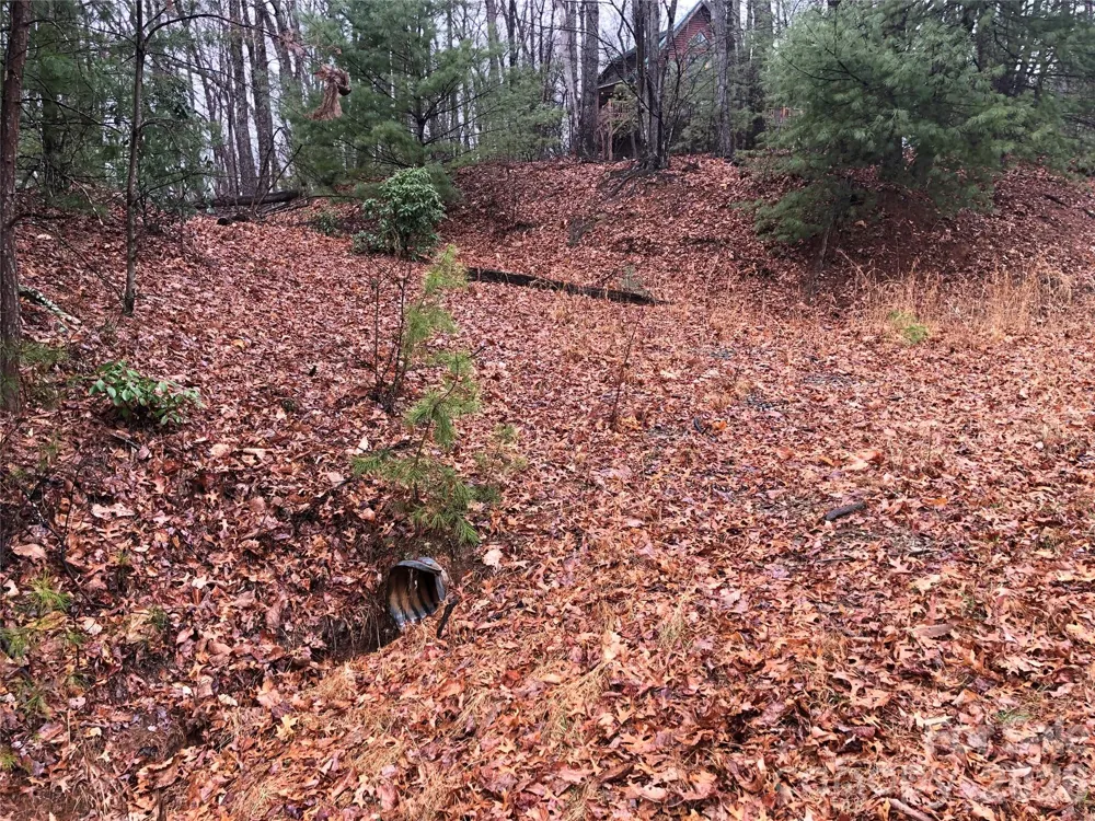 TBD Pepper Bush Road #105 Purlear, NC 28665