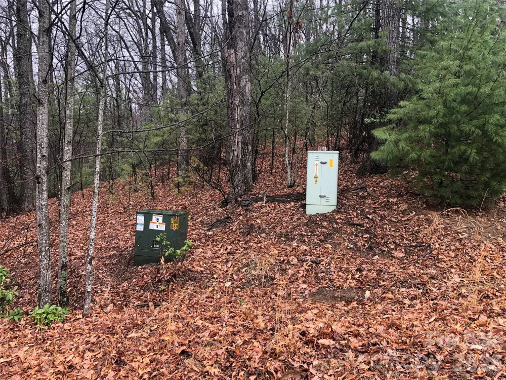 TBD Pepper Bush Road #105 Purlear, NC 28665