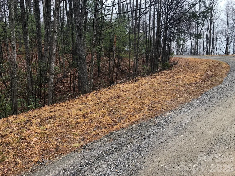 TBD Pepper Bush Road #105 Purlear, NC 28665