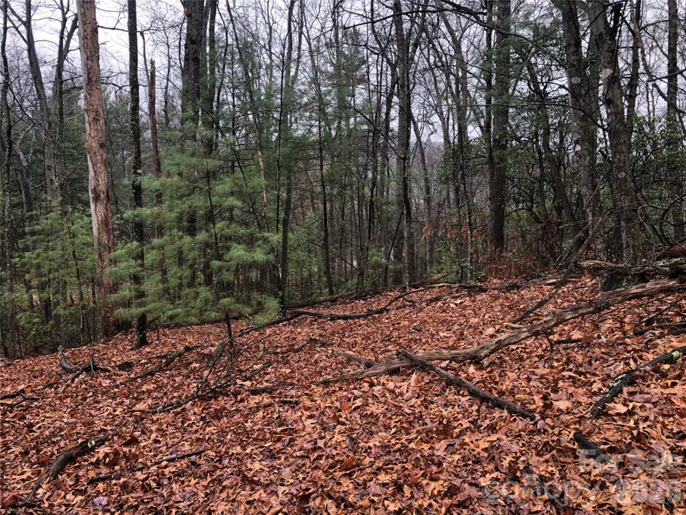 TBD Pepper Bush Road #105 Purlear, NC 28665