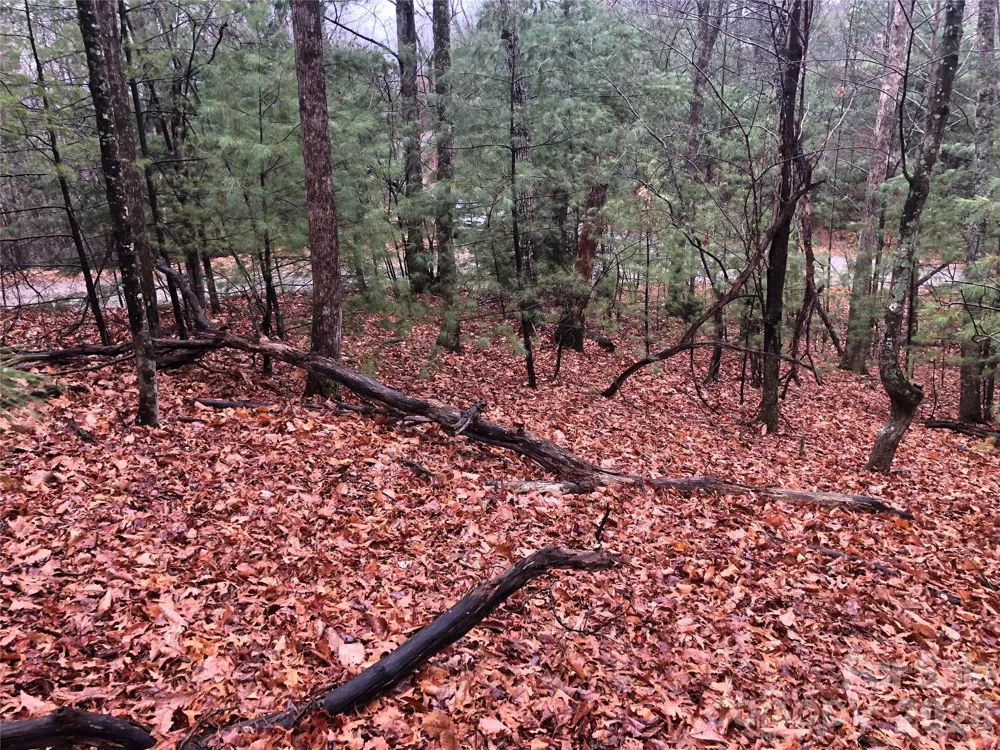 TBD Pepper Bush Road #105 Purlear, NC 28665