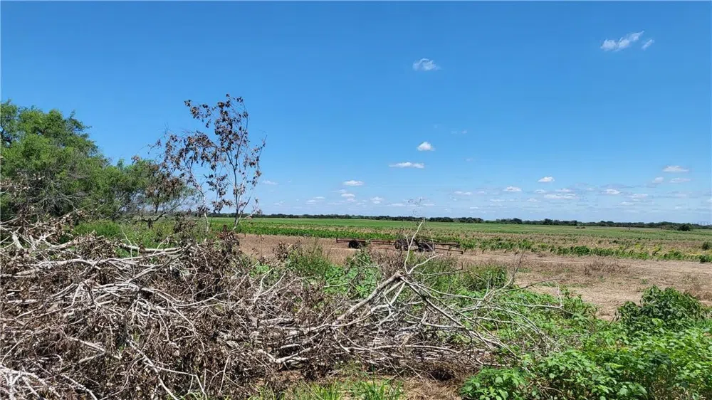 Us-281 Falfurrias, TX 78355