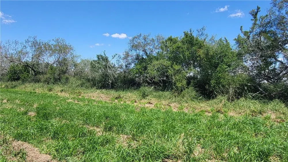 Us-281 Falfurrias, TX 78355