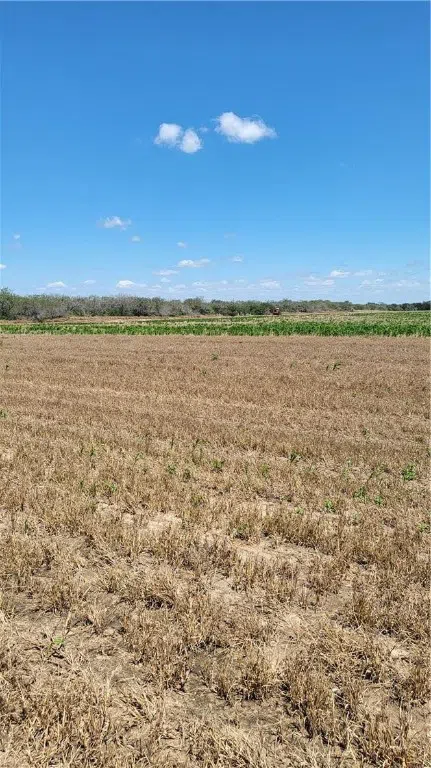 Us-281 Falfurrias, TX 78355