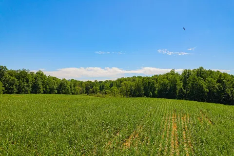 1936 E Clear Lake Road