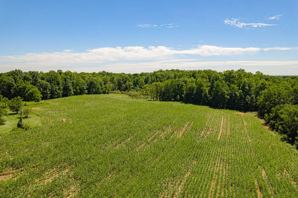 1936 E Clear Lake Road Buchanan, MI 49107