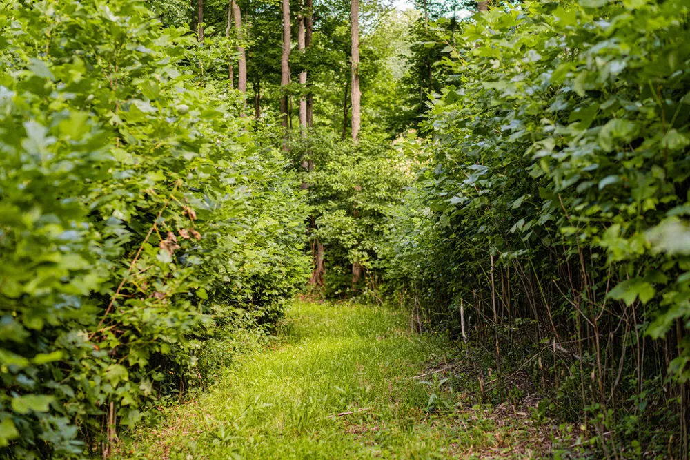 1936 E Clear Lake Road Buchanan, MI 49107