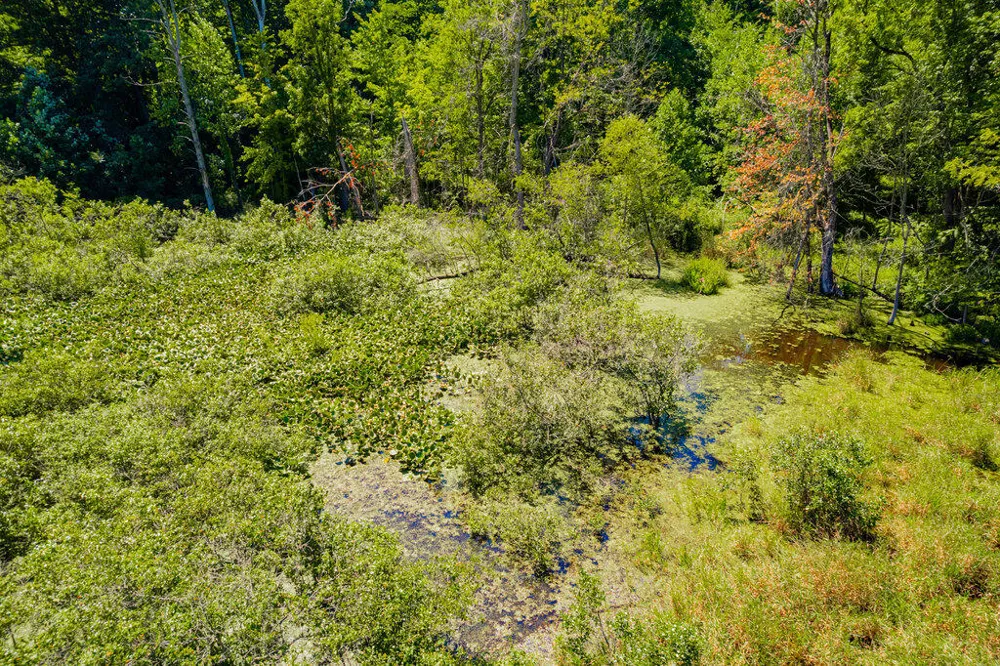 1936 E Clear Lake Road Buchanan, MI 49107