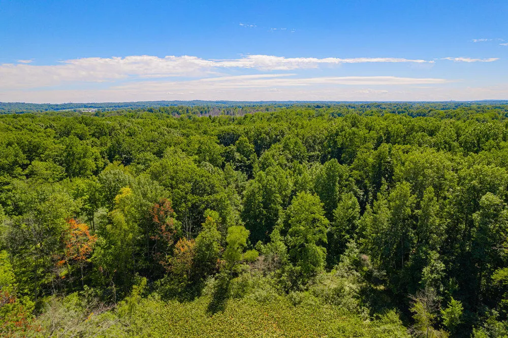 1936 E Clear Lake Road Buchanan, MI 49107
