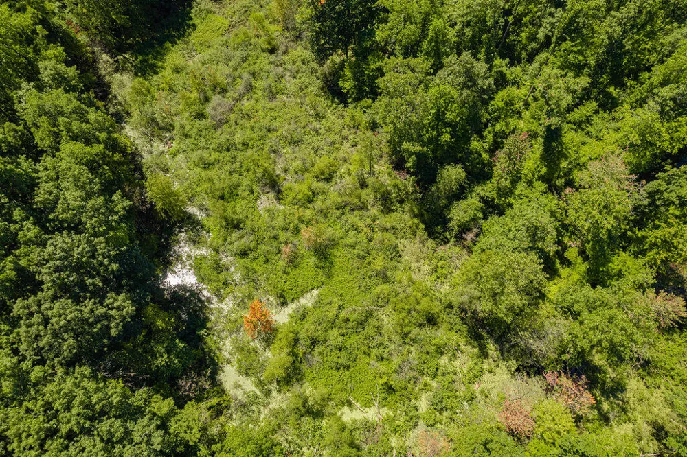 1936 E Clear Lake Road Buchanan, MI 49107