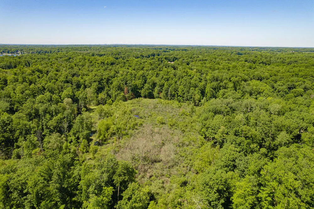 1936 E Clear Lake Road Buchanan, MI 49107