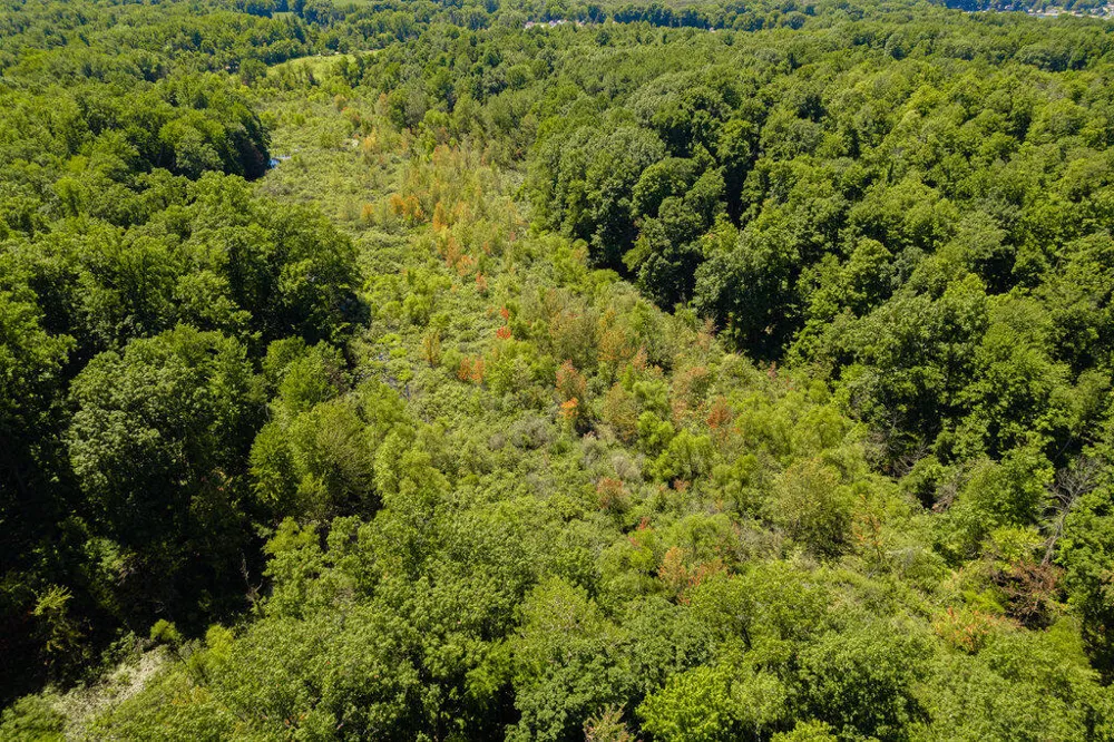 1936 E Clear Lake Road Buchanan, MI 49107