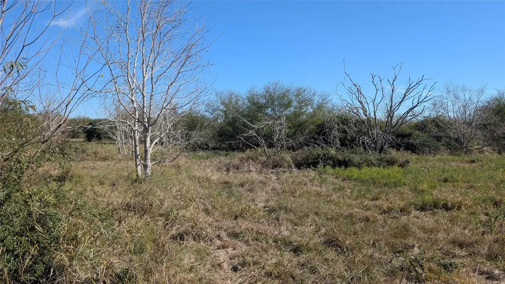 S Meadow Lane El Campo, TX 77437