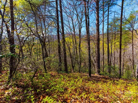 107 Deep Gap Road E