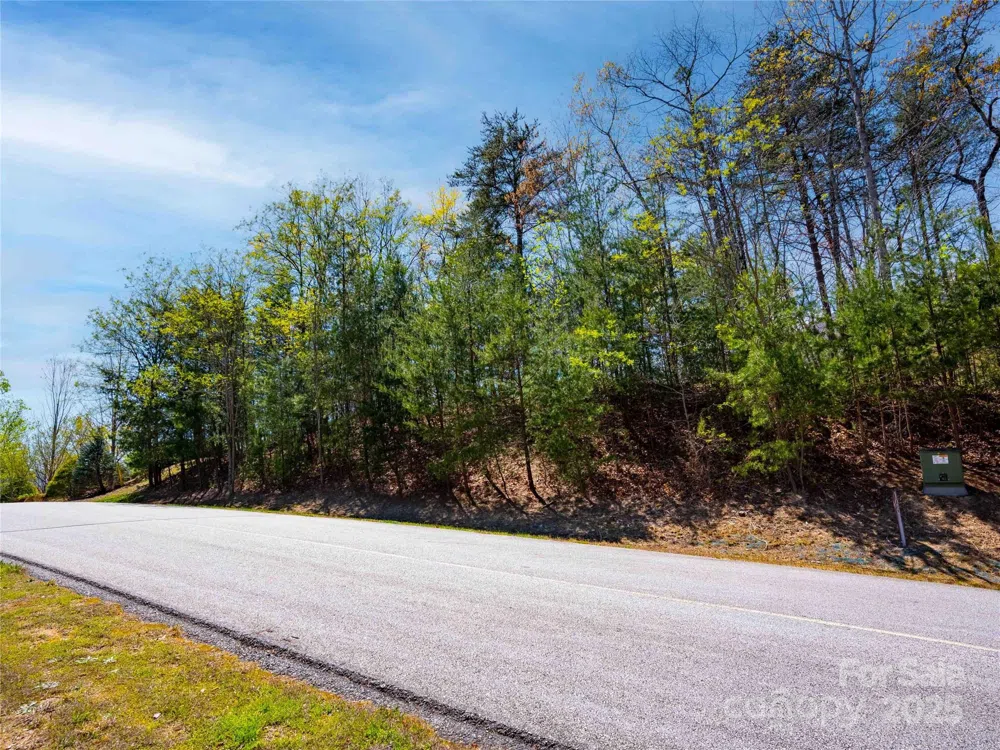 107 Deep Gap Road E Mill Spring, NC 28756