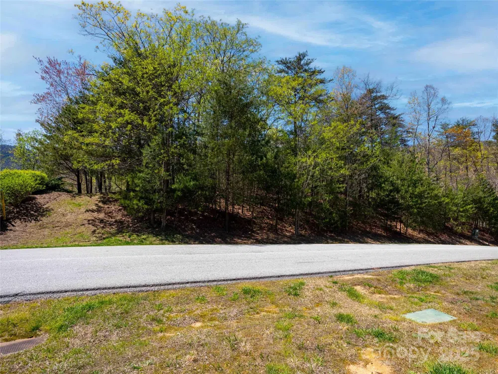 107 Deep Gap Road E Mill Spring, NC 28756