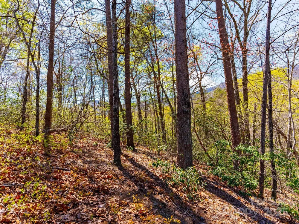 107 Deep Gap Road E Mill Spring, NC 28756