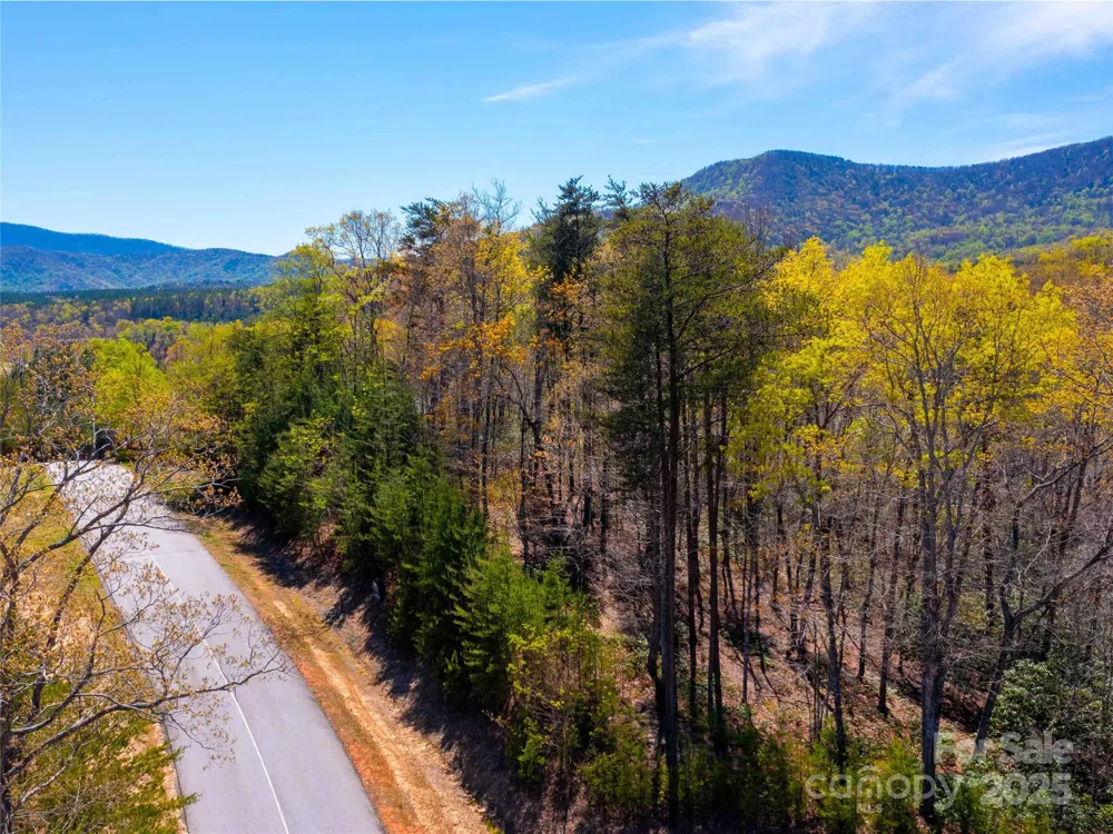 107 Deep Gap Road E Mill Spring, NC 28756