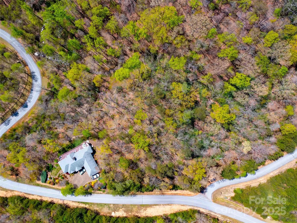 107 Deep Gap Road E Mill Spring, NC 28756