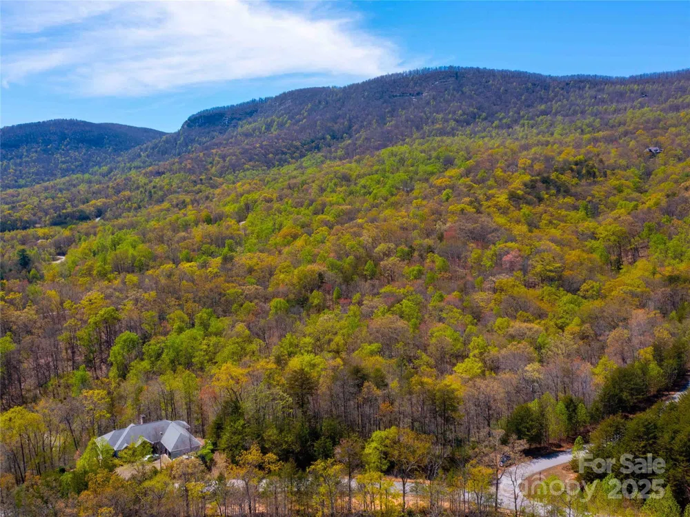 107 Deep Gap Road E Mill Spring, NC 28756