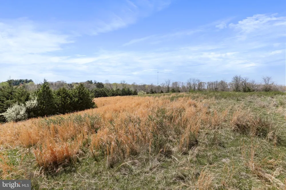 WINCHESTER ROAD Front Royal, VA 22630