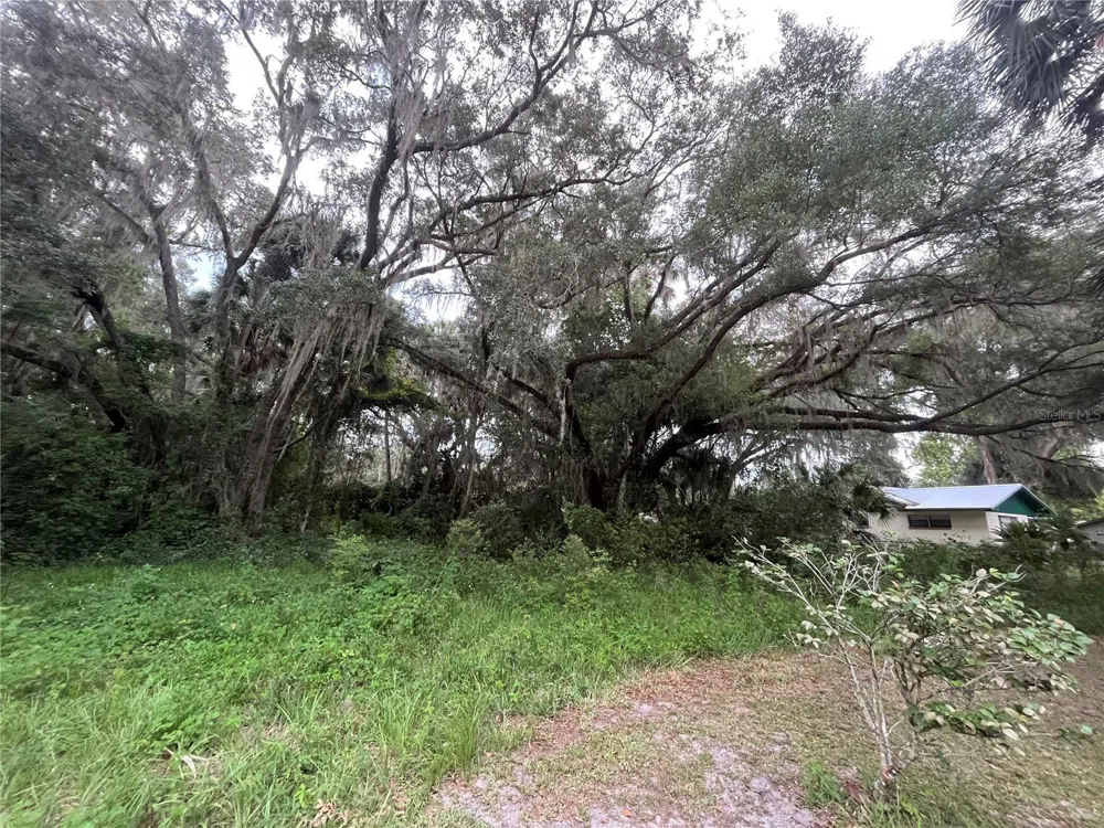 183RD AVENUE Hawthorne, FL 32640