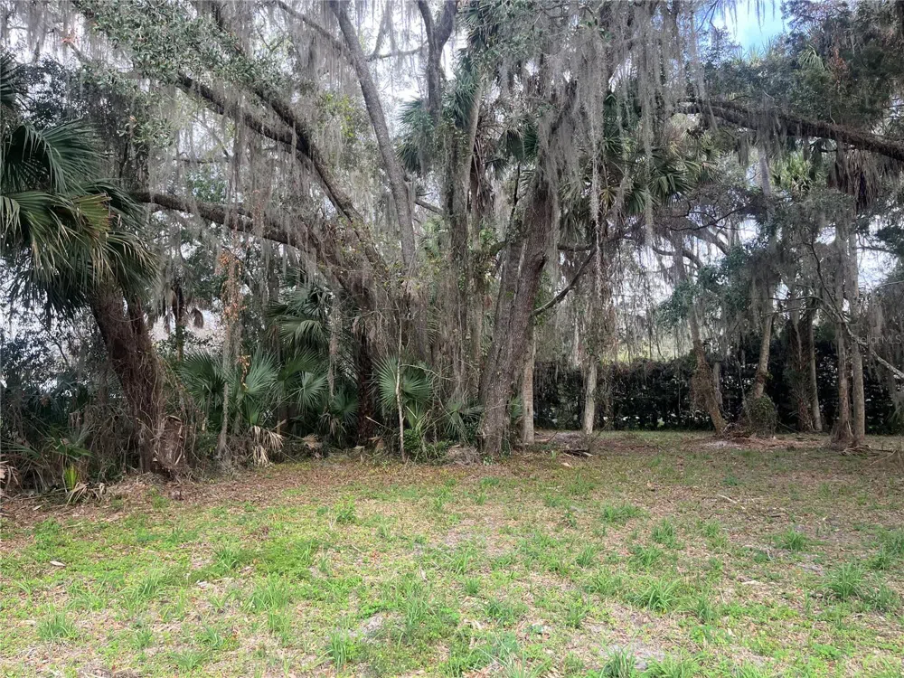 183RD AVENUE Hawthorne, FL 32640