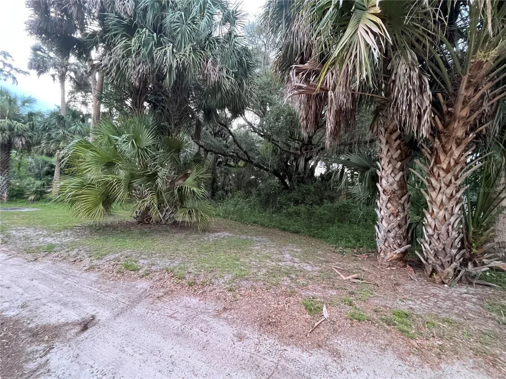 183RD AVENUE Hawthorne, FL 32640