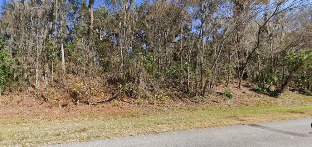 SE WACAHOOTA RD Micanopy, FL 32667