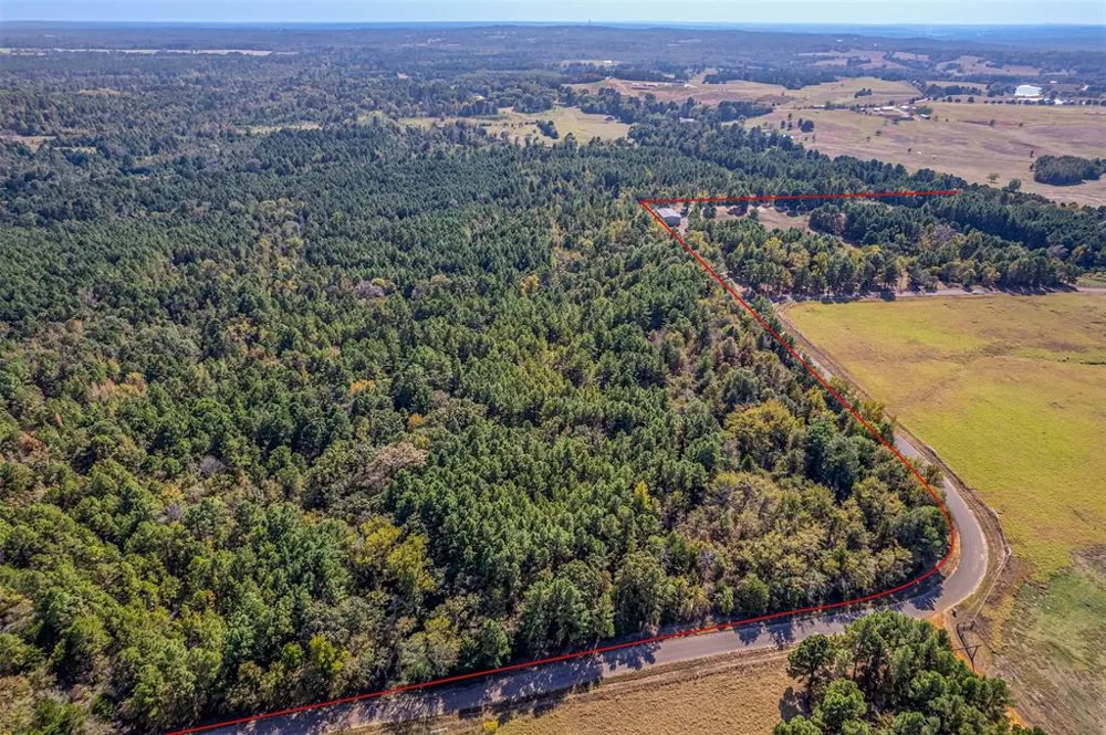 CR-356 Winona, TX 75792