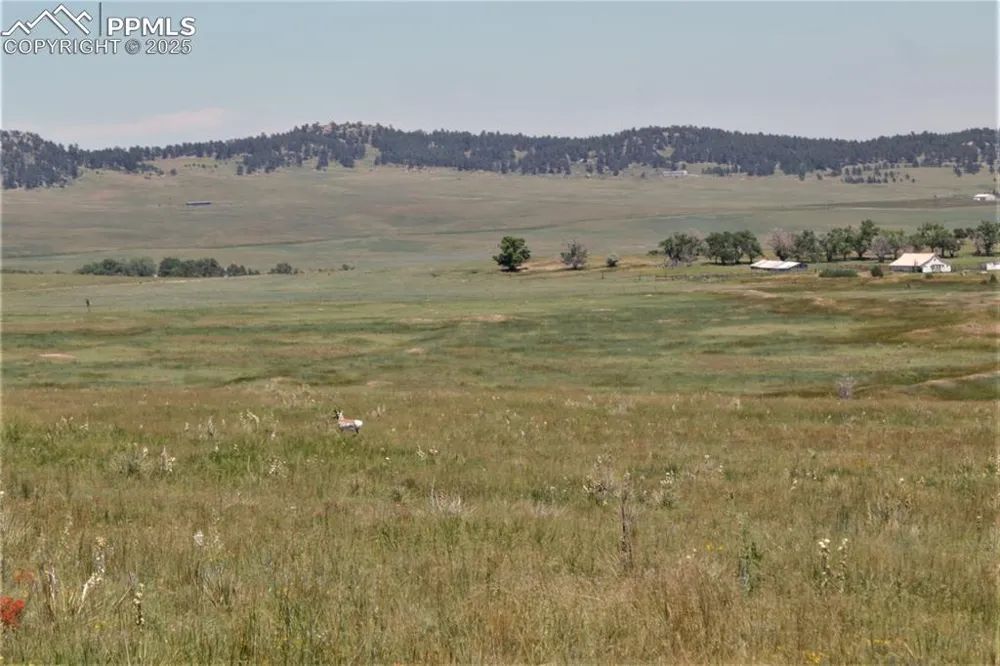 Tract 6 McClelland Road Calhan, CO 80808
