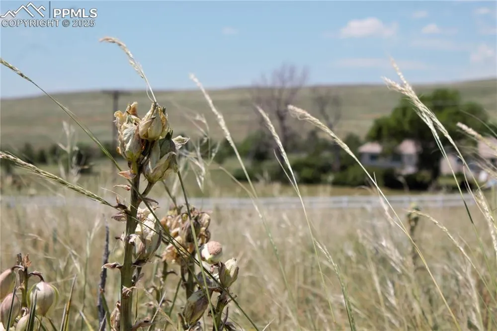 Tract 17 Sweet Road Calhan, CO 80808