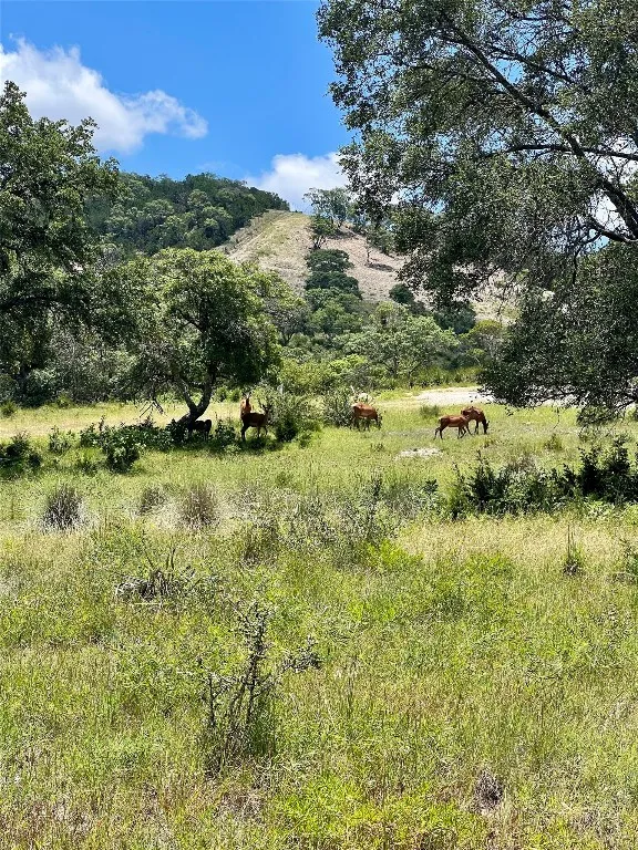 58 Red Stag Lane Pipe Creek, TX 78063