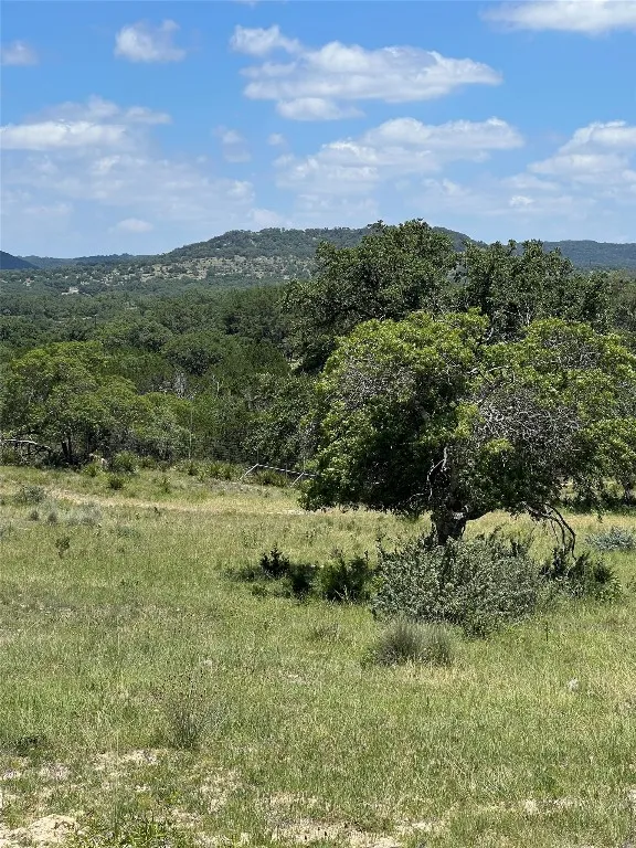 58 Red Stag Lane Pipe Creek, TX 78063