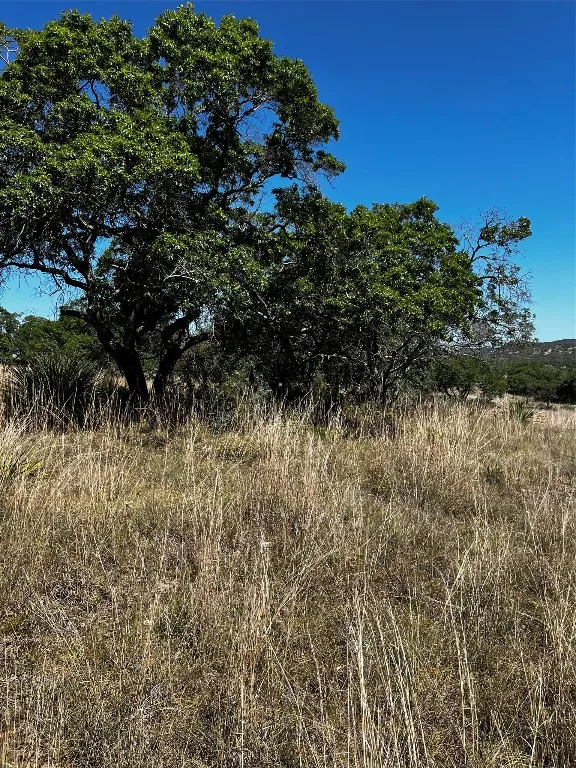 58 Red Stag Lane Pipe Creek, TX 78063