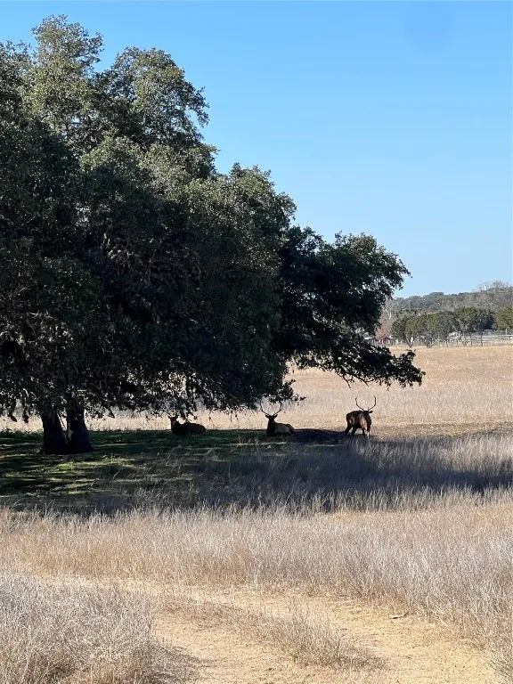 58 Red Stag Lane Pipe Creek, TX 78063