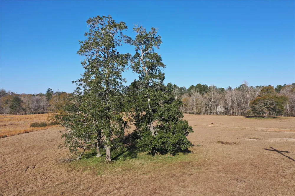 Lakeland Hillister, TX 77624